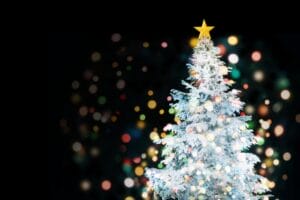 白いイルミネーションが輝くクリスマスツリー｜岡山の結婚相談所blue beesのコミュニティイベント