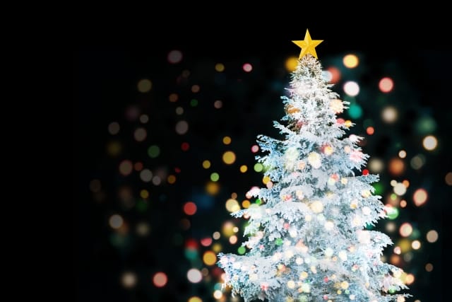 白いイルミネーションが輝くクリスマスツリー｜岡山の結婚相談所blue beesのコミュニティイベント