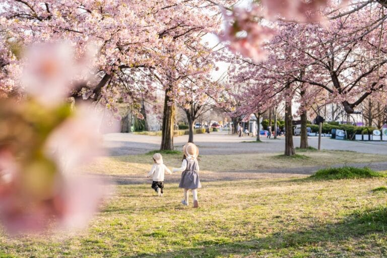 桜が満開の公園で楽しそうに遊ぶ幼い子どもたち